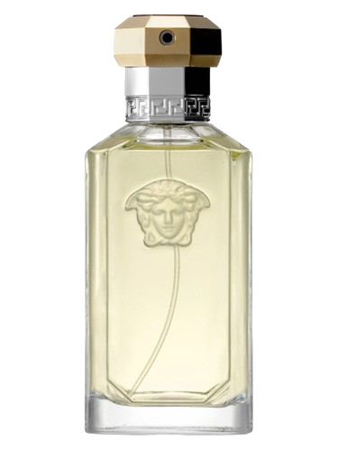 Versace Versace The Dreamer Decant decant